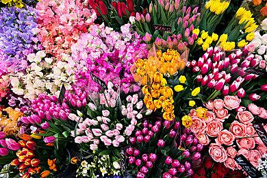 在星球上创造新生命！《备用计划:家园 Plan B: Terraform》1.0正式版现已推出！